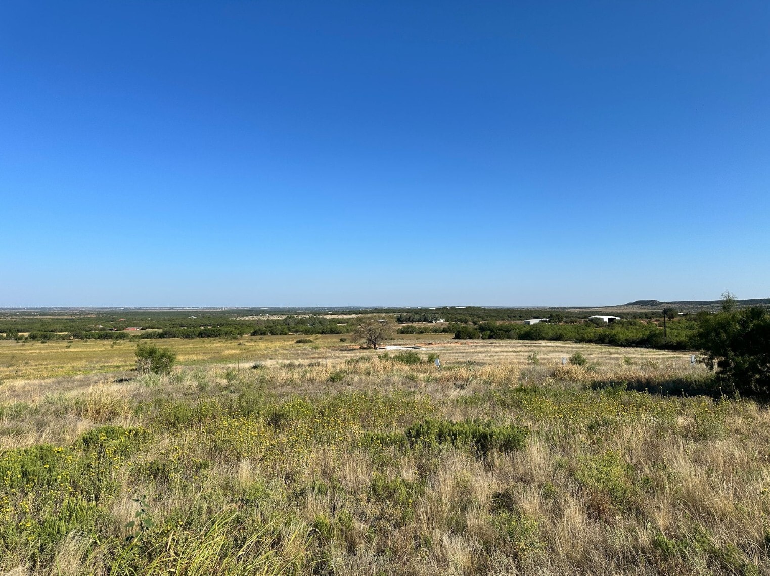 800 County Road 214, Sweetwater, TX for lease Primary Photo- Image 1 of 11