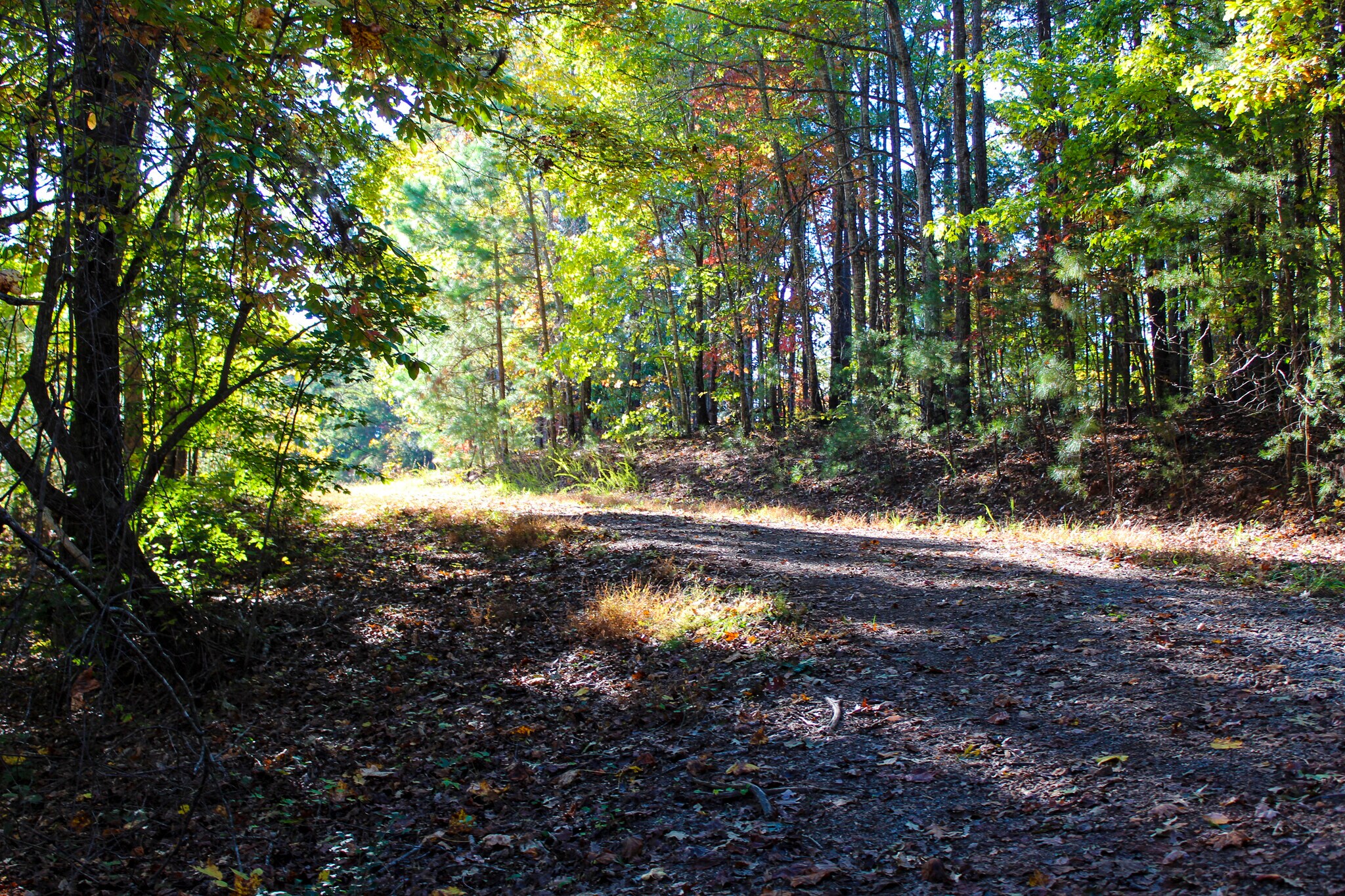 99999 County Line Rd, Rutherfordton, NC for sale Building Photo- Image 1 of 1