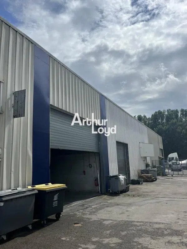 Flex in Mandelieu-la-Napoule for lease Building Photo- Image 1 of 6