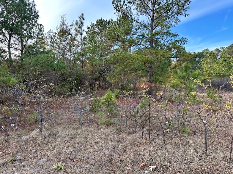 2706 Emanuel Church Rd, West Columbia, SC for sale - Other - Image 2 of 25