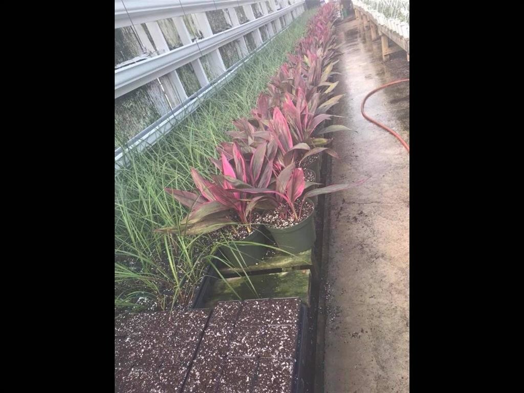 3515 N Eastman Rd, Midland, MI 48642 Retail for Sale