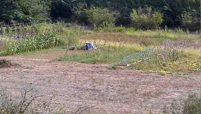 Land in Tarragona, Tarragona for sale Primary Photo- Image 1 of 6
