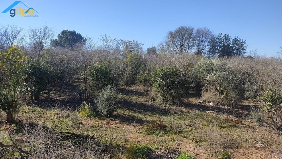 Land in Alcalá de Guadaíra, Sevilla for sale - Building Photo - Image 3 of 11