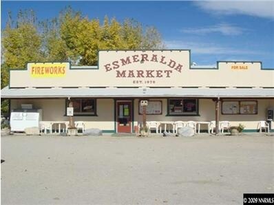 8 Highway 264, Dyer, NV for sale - Primary Photo - Image 1 of 1