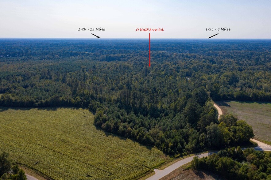 0 Half Acre Ct, Vance, SC for sale - Building Photo - Image 3 of 15