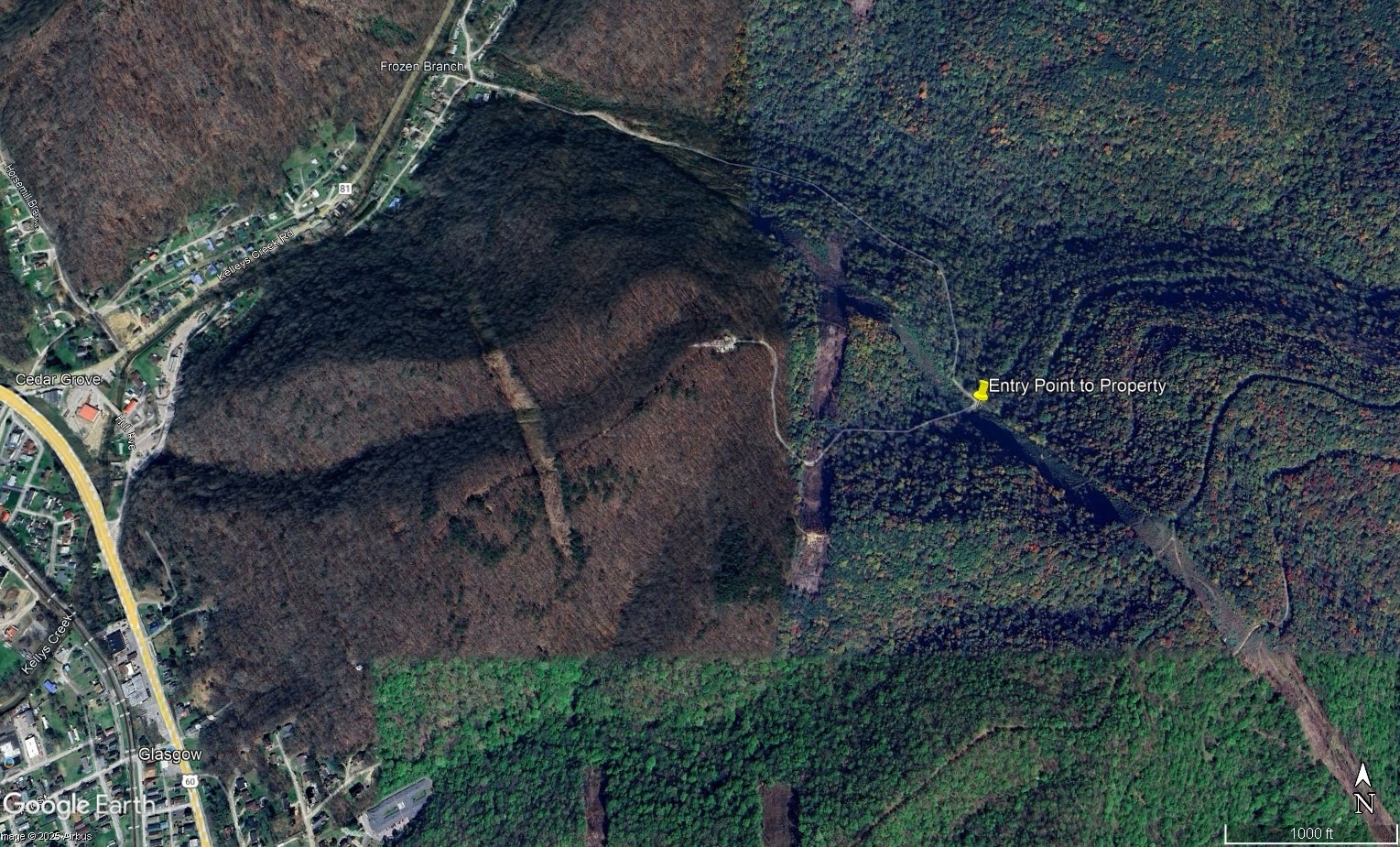 0 Frozen Branch Road Rd, Cedar Grove, WV for sale Building Photo- Image 1 of 3