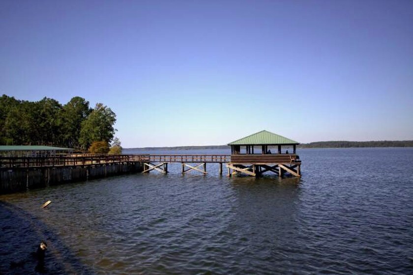 245 Fin & Feather Dr, Hemphill, TX 75948 Specialty for Sale