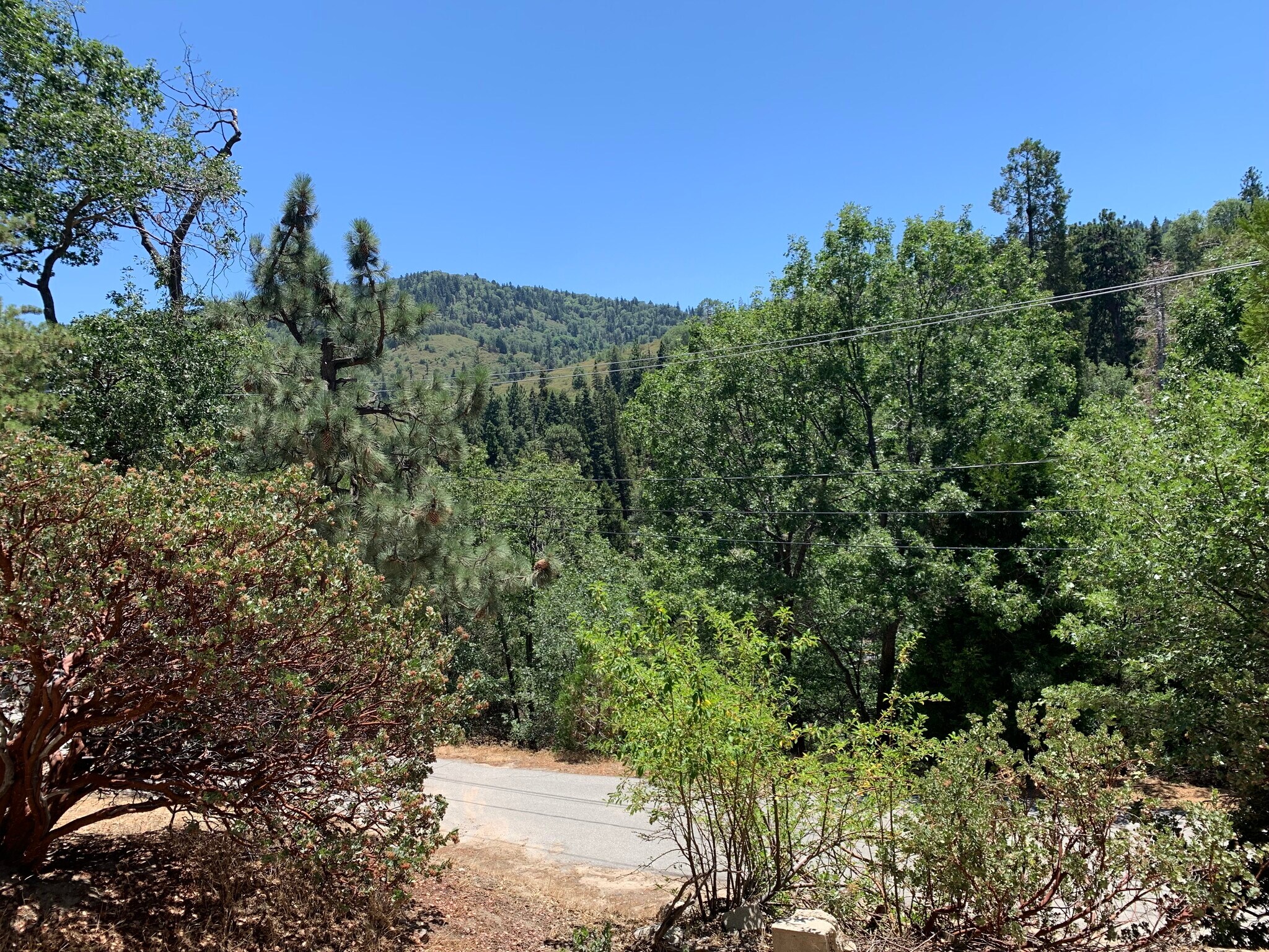 29298 Pine Drive, Cedar Glen, CA 92321 29298 Pine Drive