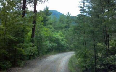 Quail Ridge Rd, Blue Ridge, GA for sale - Primary Photo - Image 1 of 1