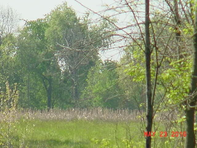 0 Lapeer Rd, Davison, MI for sale Other- Image 1 of 1