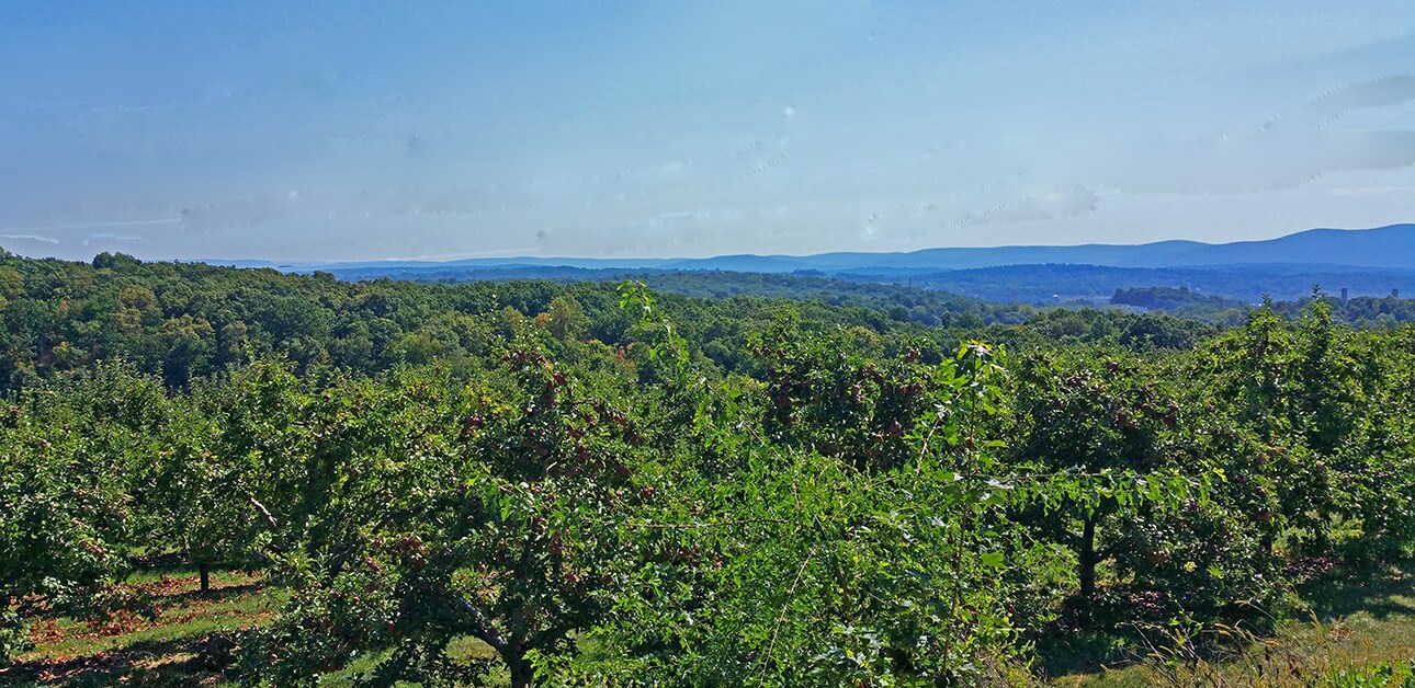 23 Bingham Rd, Marlboro, NY 12542 Truncali Farms