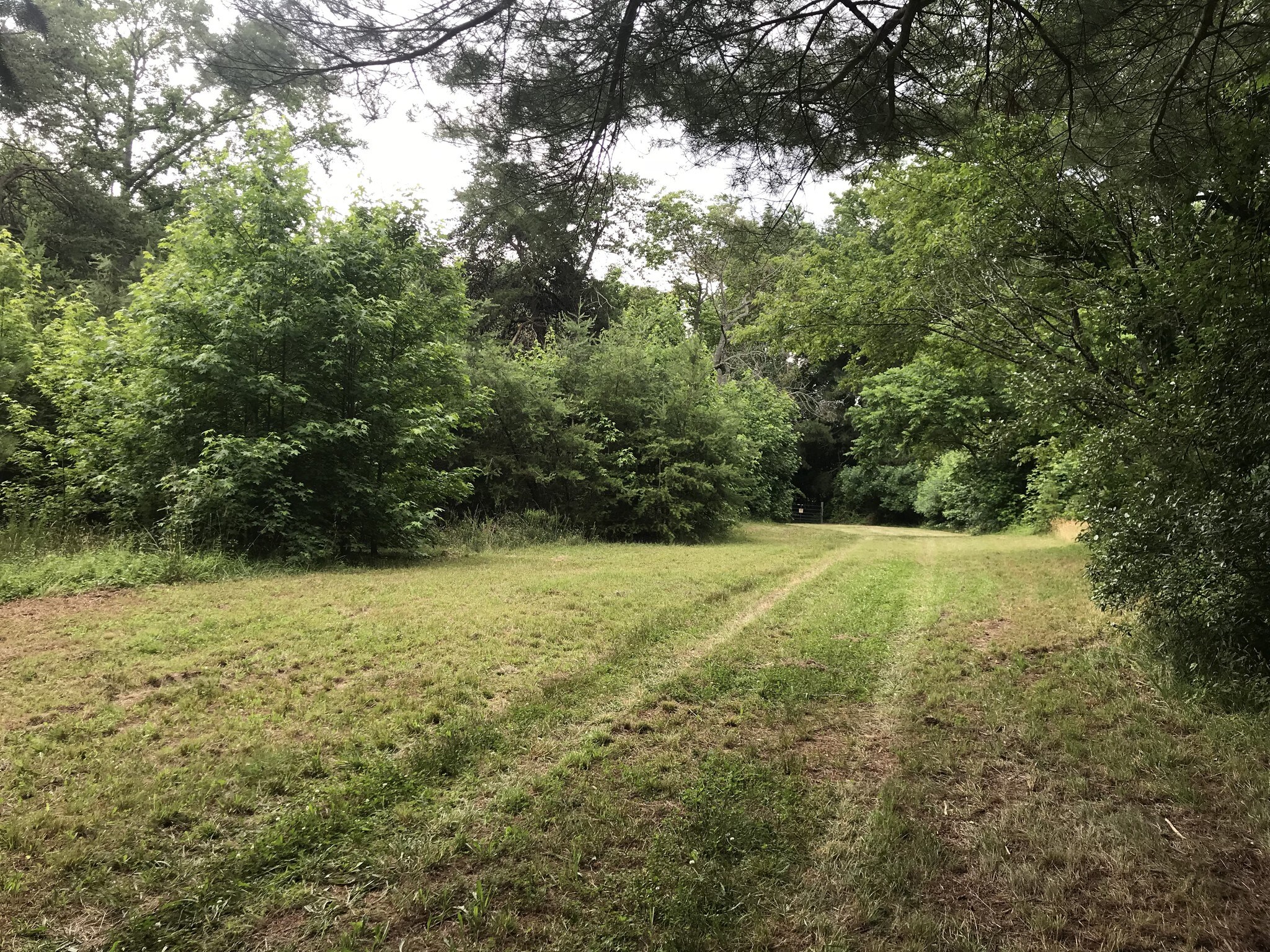 0 Cool Spring Rd, Marydel, MD for sale Other- Image 1 of 1