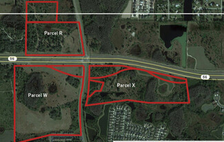 More details for State Road 56 and Meadow Pointe Blvd. – Land for Sale, Wesley Chapel, FL