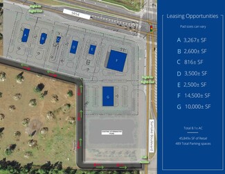 More details for SR 54  & Sunlake Blvd, Lutz, FL - Land for Lease