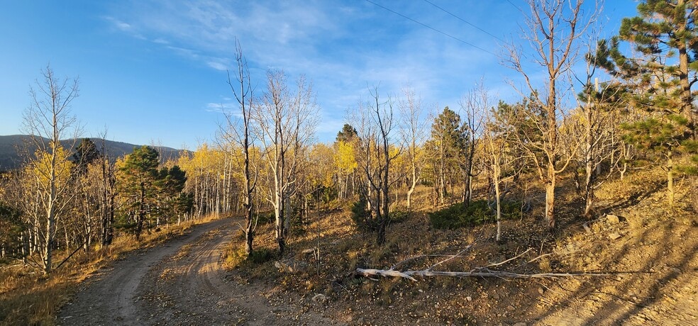 1650 Upper Apex Rd, Black Hawk, CO for sale - Building Photo - Image 3 of 10