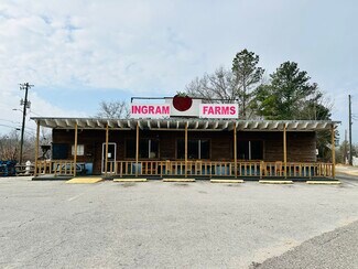 More details for 4300 Highway 43 N, Northport, AL - Retail for Sale