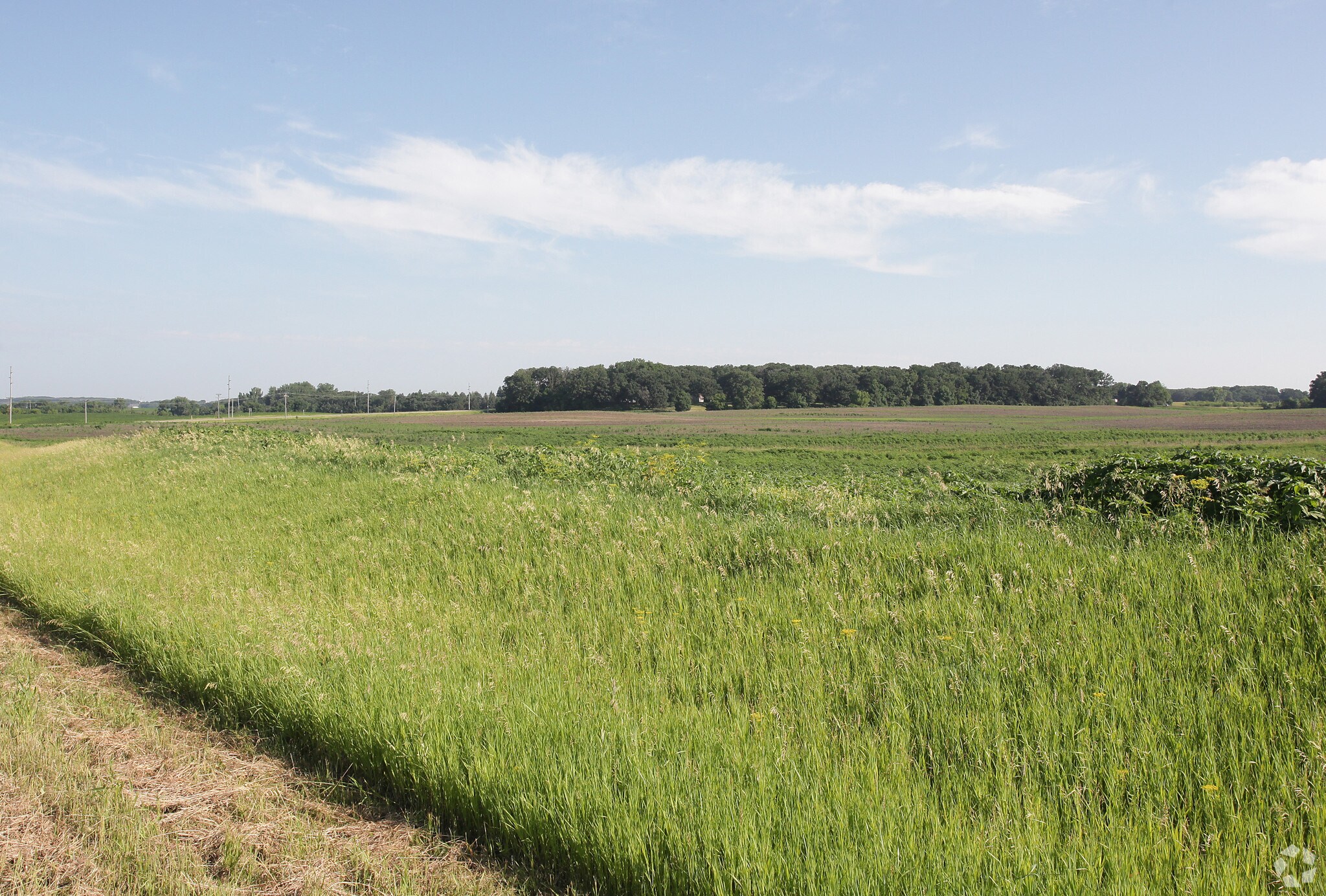 I90 & Bridge Ave, Albert Lea, MN 56007 3000 Bridge Ave