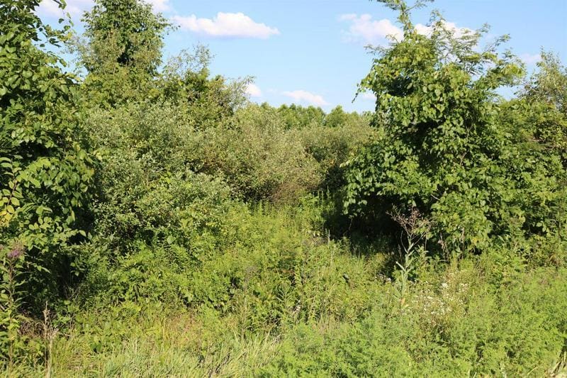 15237 Tolbert Dr, Dillsboro, IN 47018 Land for Sale