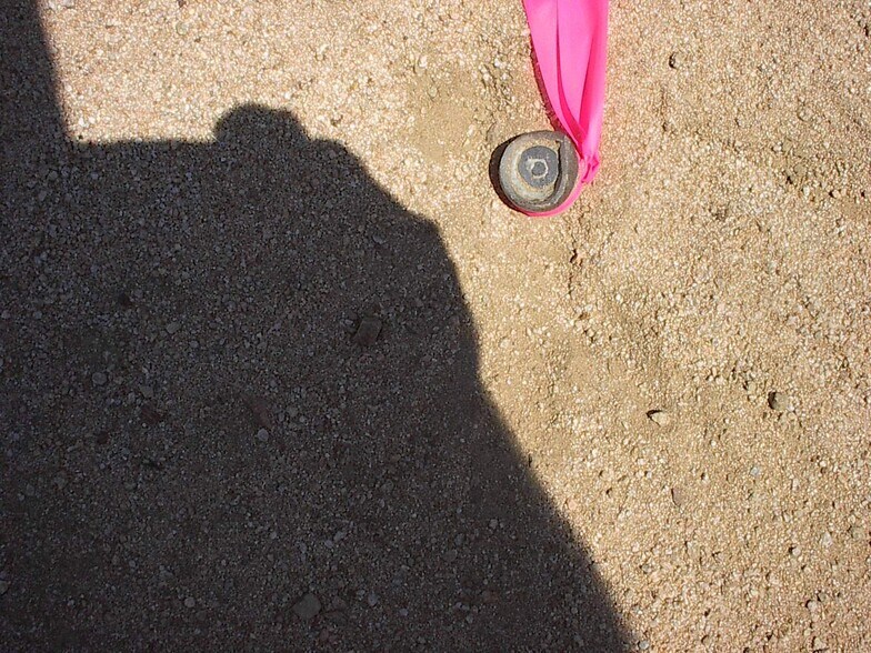 Cherry Rd, El Mirage, CA for lease - Primary Photo - Image 1 of 45