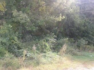 W Thompson Rd & Riverside Dr, Thompson, CT for sale - Primary Photo - Image 2 of 3