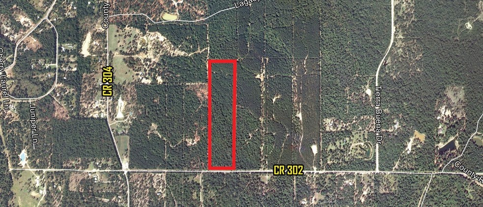 CR 302, Plantersville, TX for sale - Primary Photo - Image 1 of 1