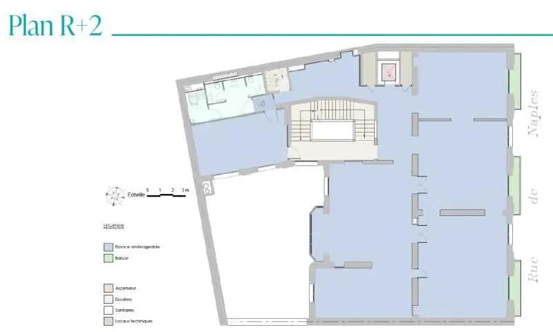 36 Rue De Naples, Paris for lease Floor Plan- Image 1 of 1