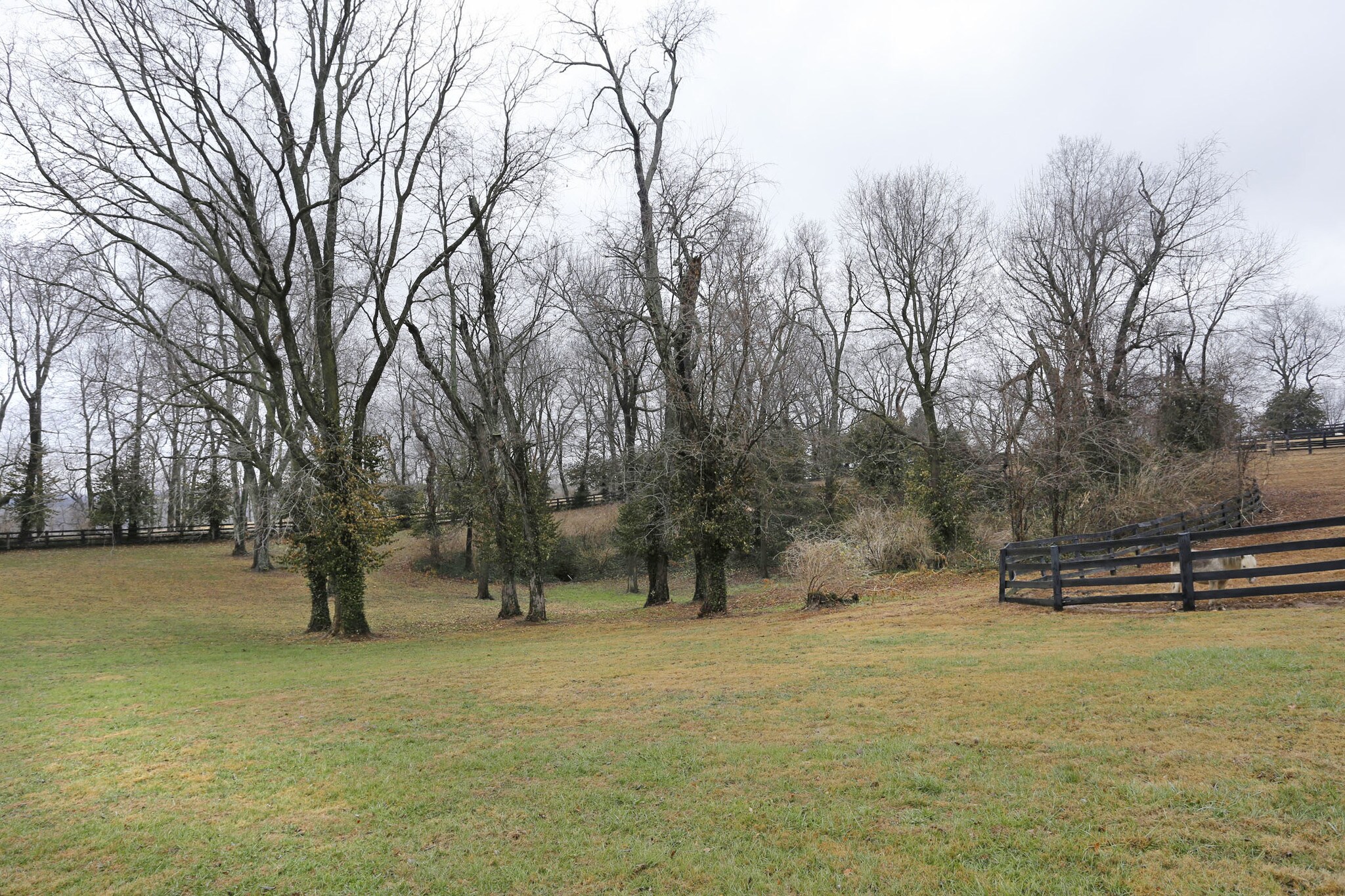 5493 Versailles Rd, Lexington, KY for sale Other- Image 1 of 1