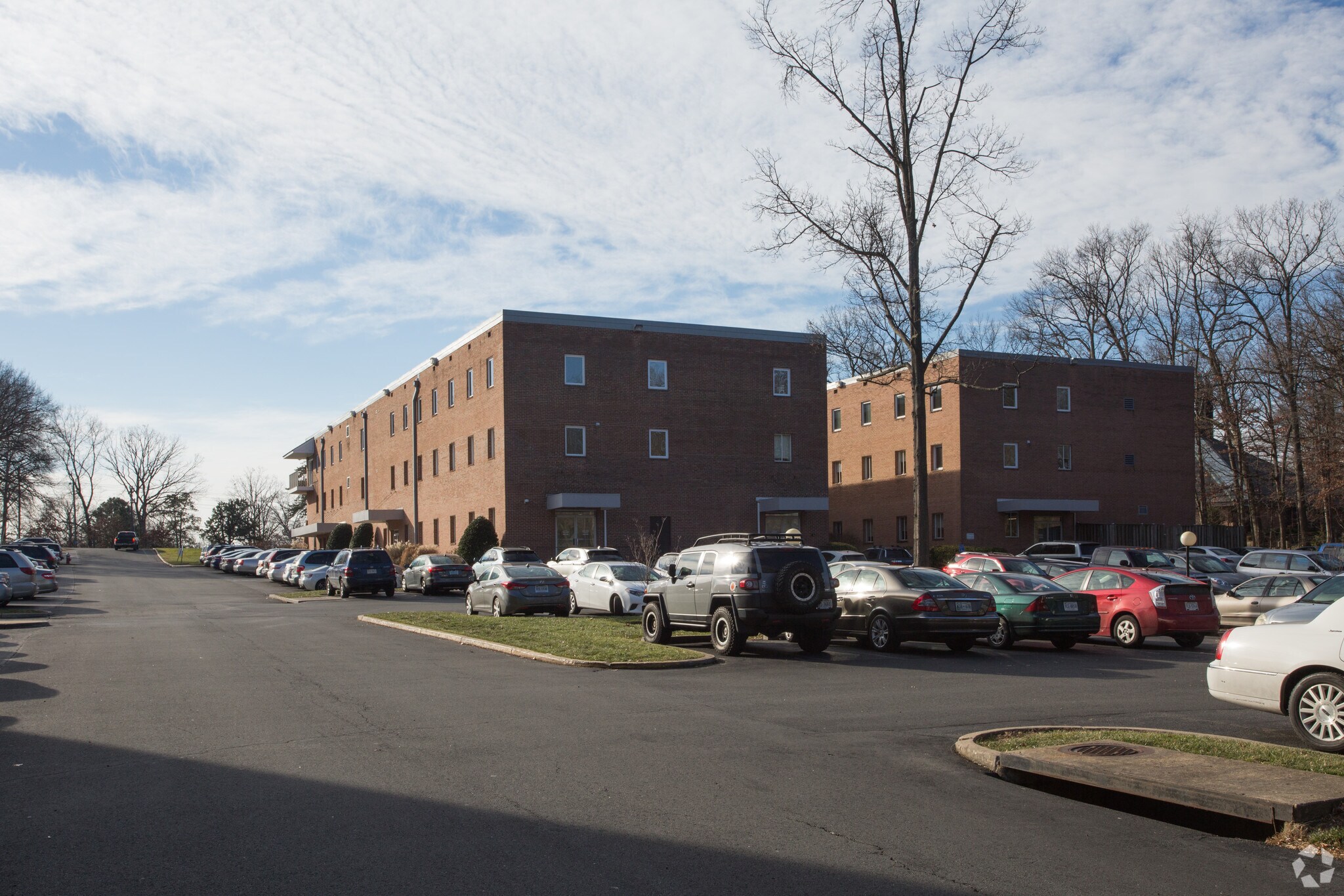 8136 Old Keene Mill Rd, Springfield, VA 22152 Cary Professional