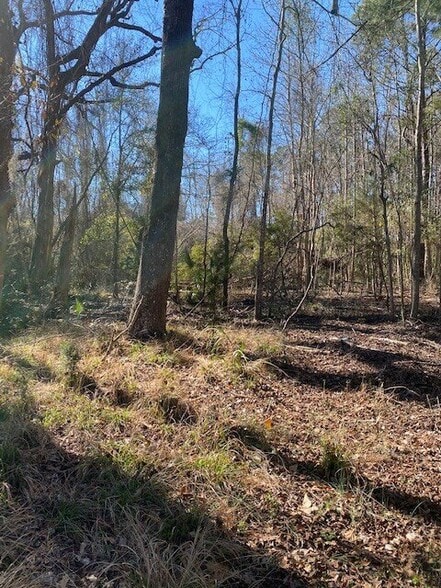 0 River Rd, Johns Island, SC for sale - Building Photo - Image 3 of 8