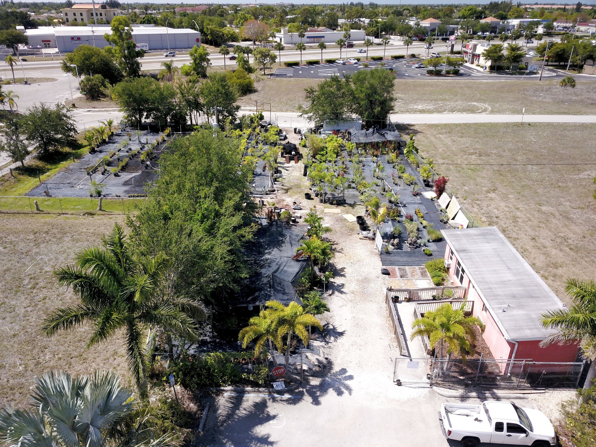 Olive Garden Cape Coral - designingboards