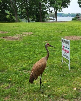 More details for 00 Blain Island Dr, Waterford, MI - Land for Sale