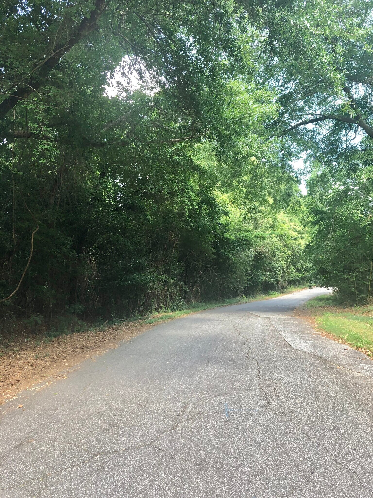 3816 Maryland Cir, Columbus, GA for sale Other- Image 1 of 1