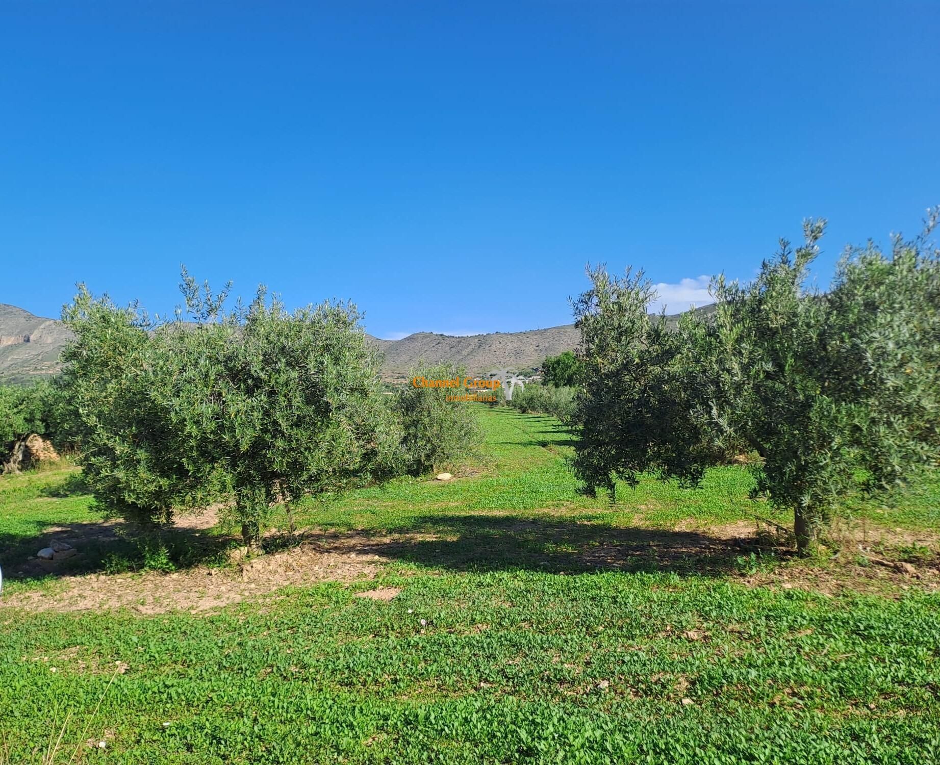 Land in Alicante for sale Building Photo- Image 1 of 3