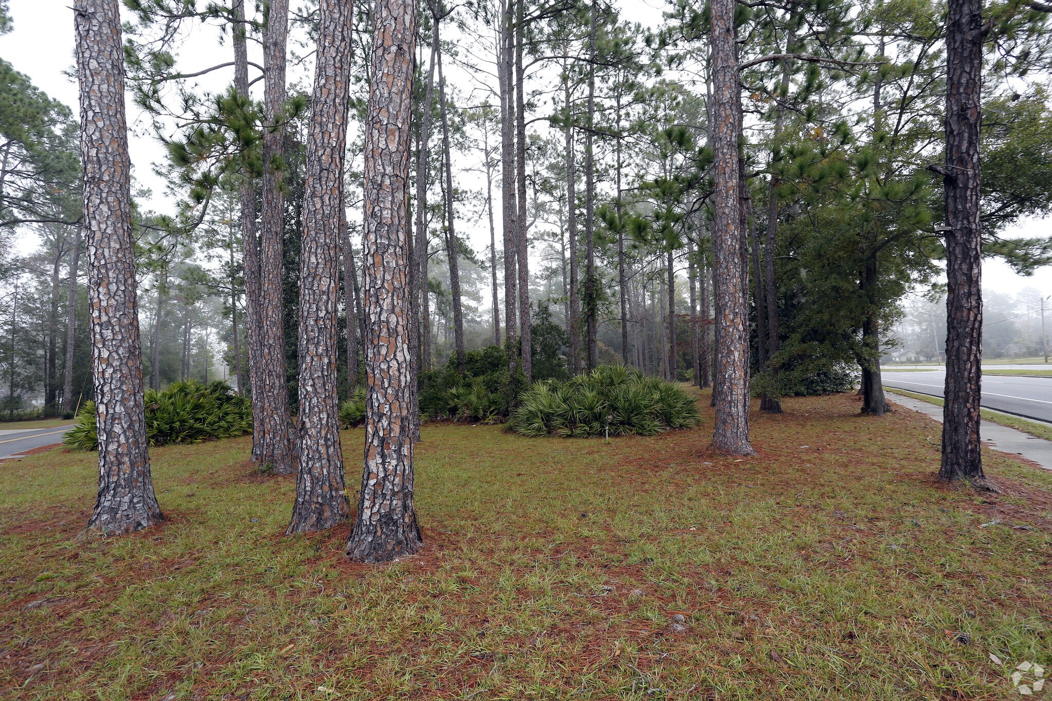 788 S Third St, Jesup, GA for sale Primary Photo- Image 1 of 1