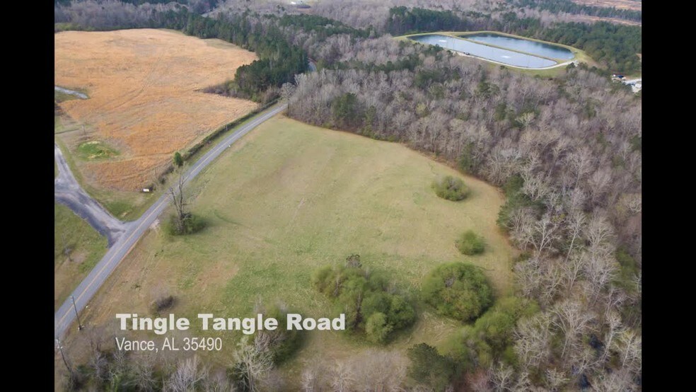 0 Tingle Tangle Rd, Vance, AL for sale - Commercial Listing Video - Image 1 of 1