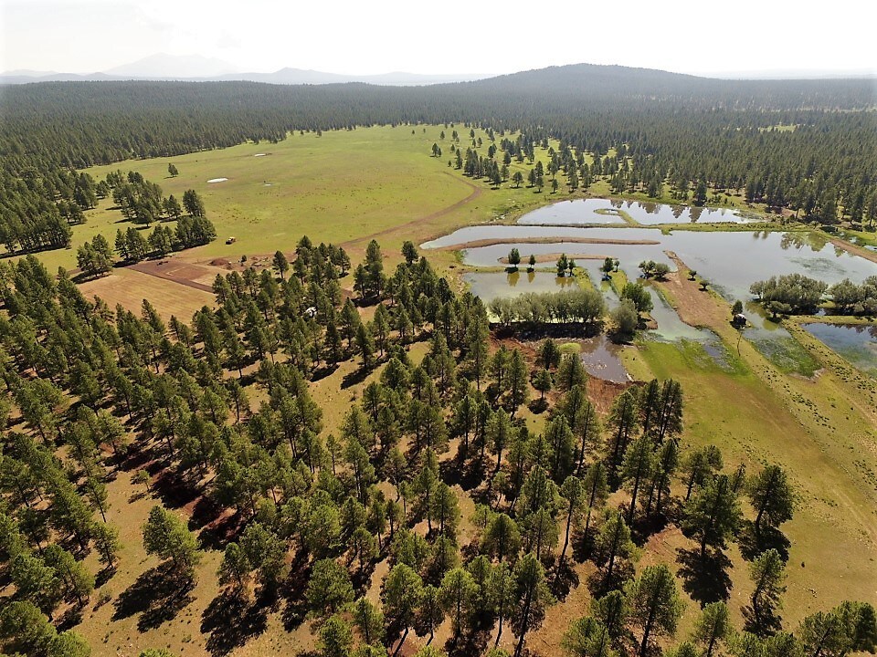 7295 E Rosilda Springs Road Williams Az 86046, Williams, AZ 86046
