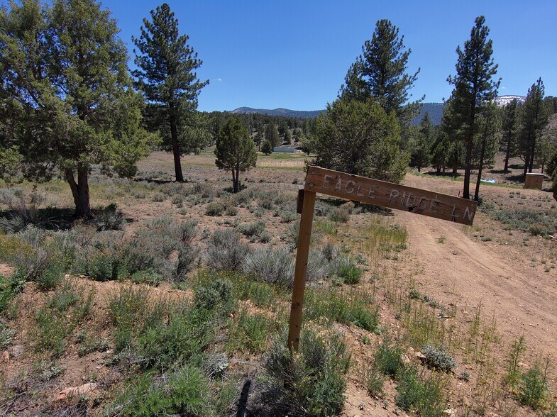 Eagle Ridge Ranch, Big Bear City, CA 92314 Eagle Ridge Ranch