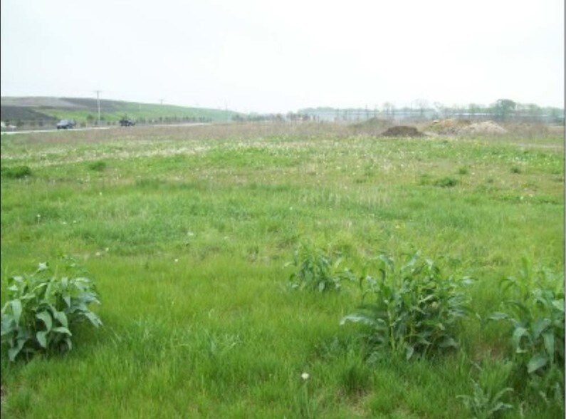 Bungalow Rd, Morris, IL for sale - Primary Photo - Image 1 of 1