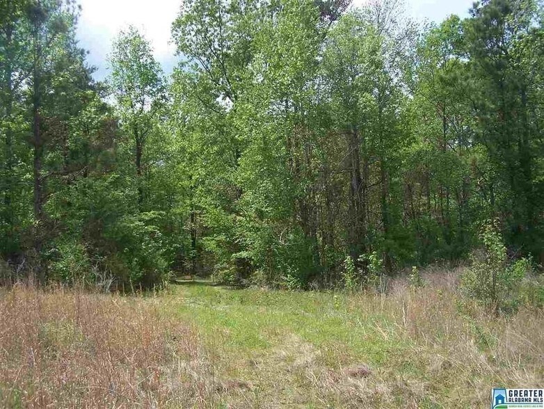 5665 Eastern Valley Rd, Mc Calla, AL for sale - Primary Photo - Image 1 of 1