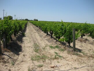 More details for 2738 E Rose Ave, Fresno, CA - Land for Sale