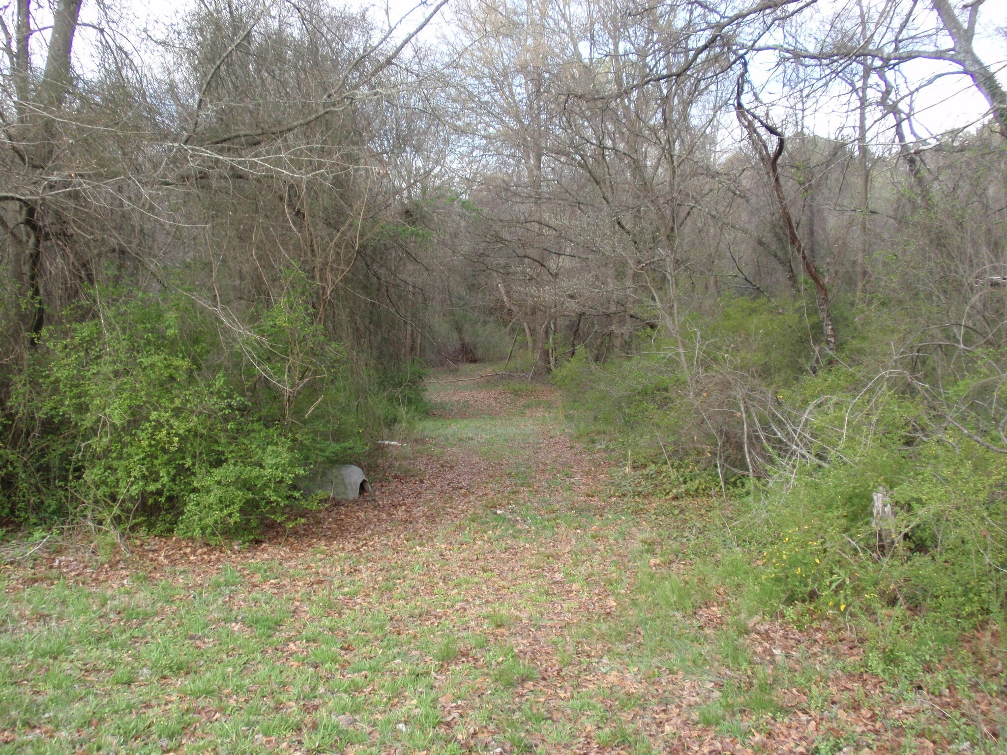 Wingo Rd & Nazareth Rd, Spartanburg, SC for sale Primary Photo- Image 1 of 1