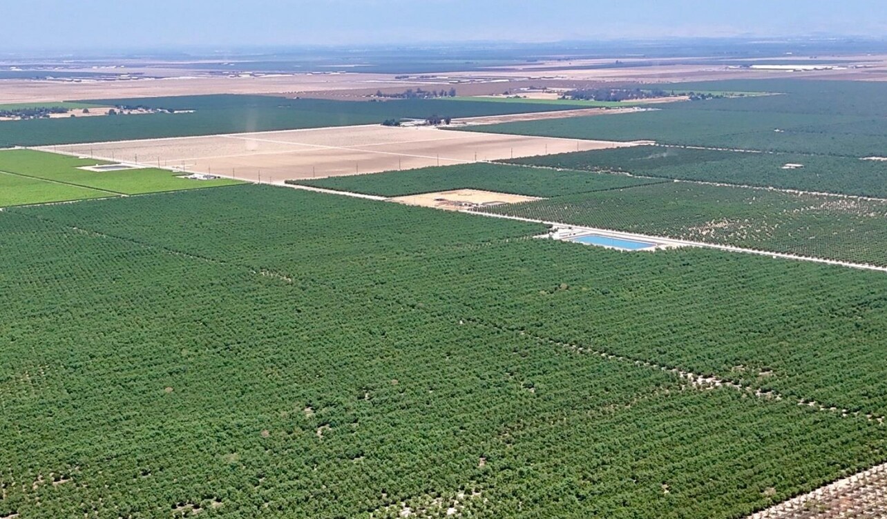 7498 Road 140, Earlimart, CA for sale Primary Photo- Image 1 of 2