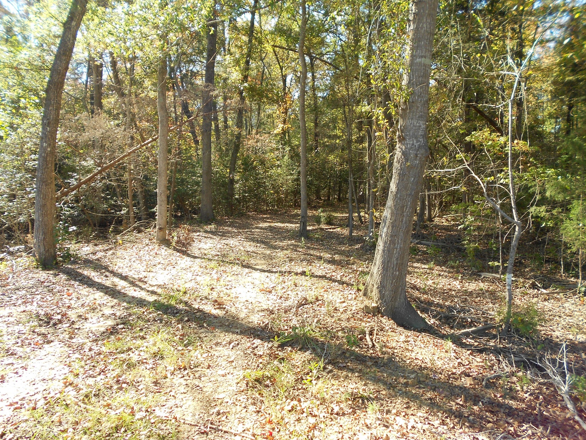 Amicks Ferry Rd, Chapin, SC for sale Building Photo- Image 1 of 1