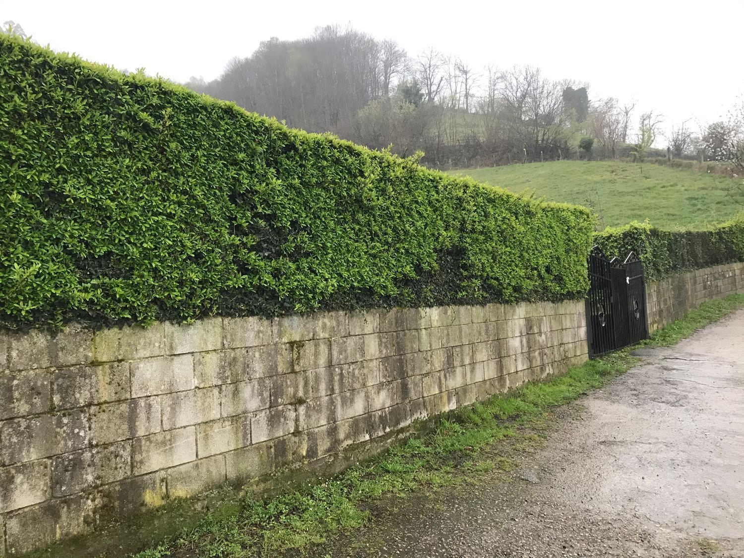 Land in Mieres, Asturias for sale Building Photo- Image 1 of 23