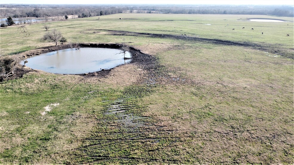 67 ac Deer Ln, Celeste, TX for sale - Building Photo - Image 3 of 23