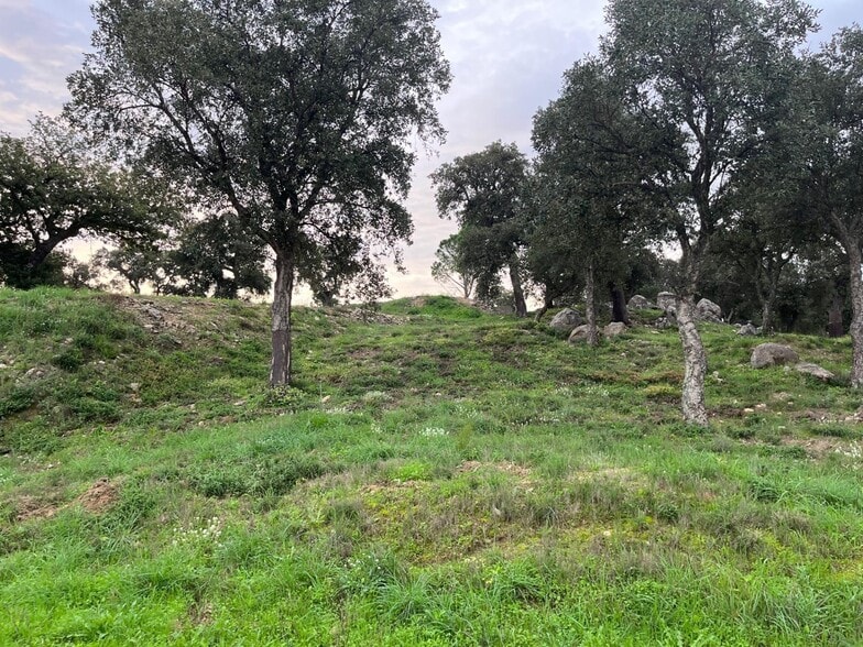 Carrer De La Roca, 20, Capmany, Gerona for sale - Building Photo - Image 2 of 7