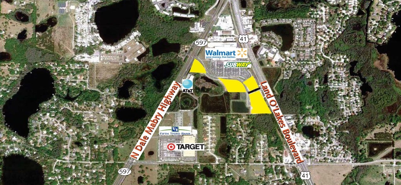 Land in Lutz, FL for sale Primary Photo- Image 1 of 1