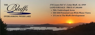 More details for 278 County Road 767, Cedar Bluff, AL - Land for Sale