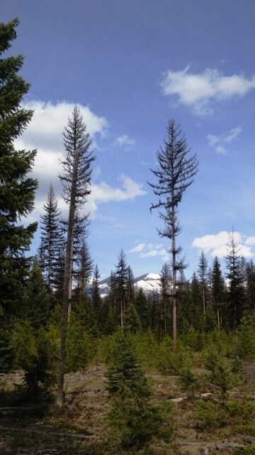 View Photo
