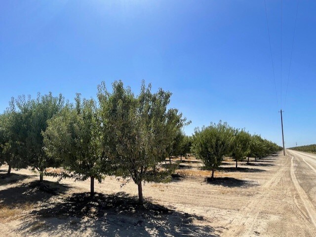 W Jensen & S Yuba, Kerman, CA for sale Building Photo- Image 1 of 1